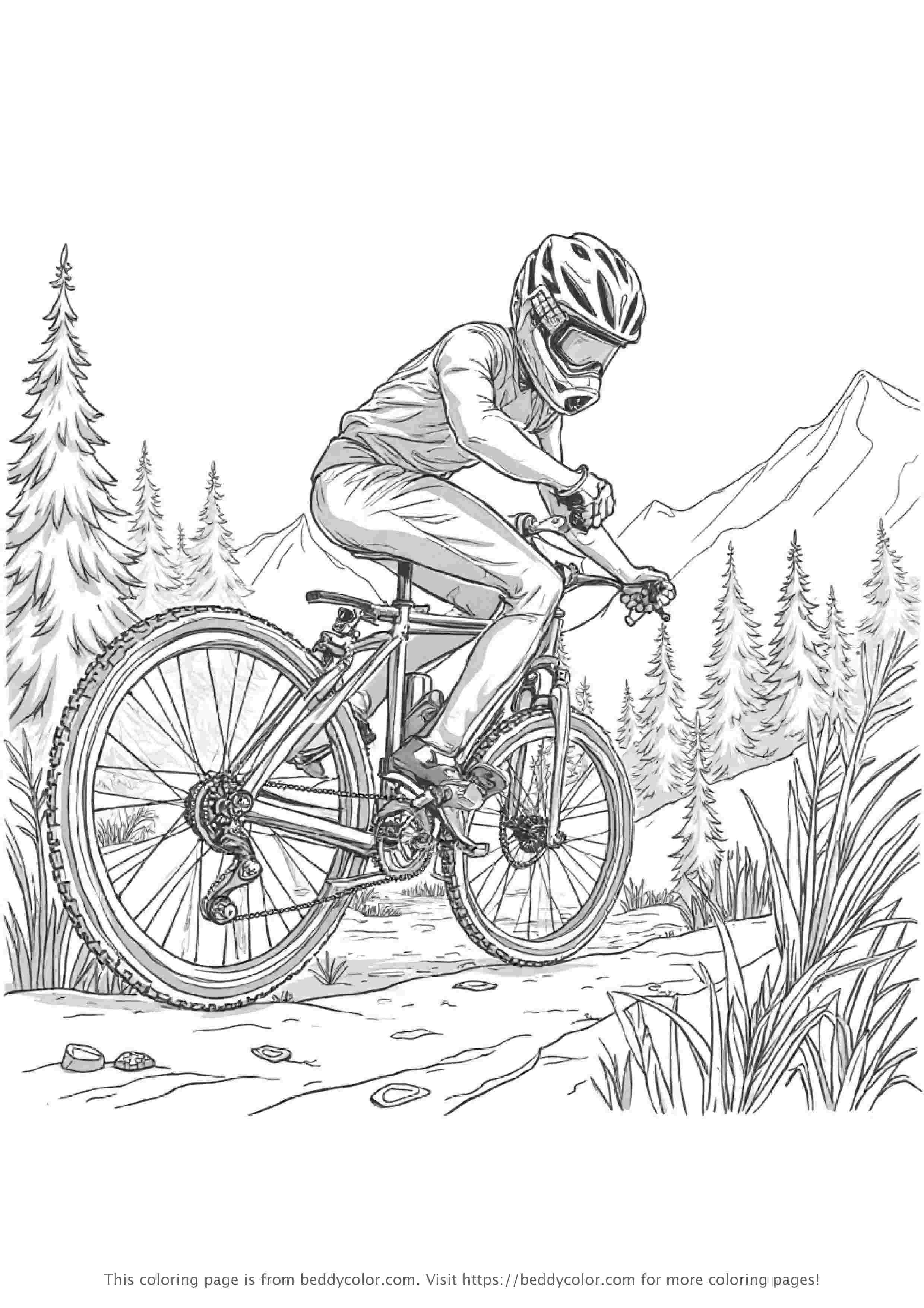 Road Bike Racing on Mountain