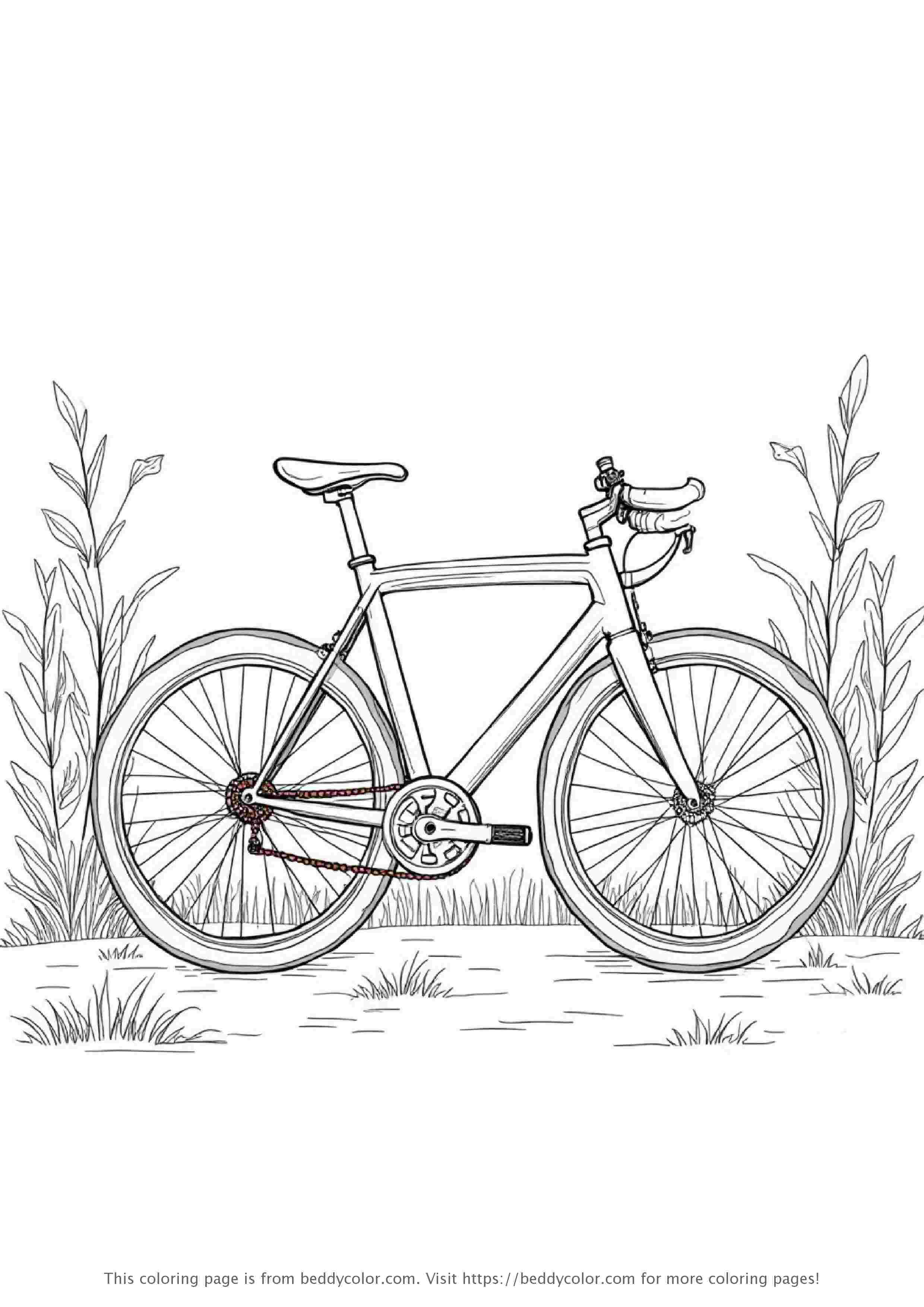 Road Bike Leaning on Wall