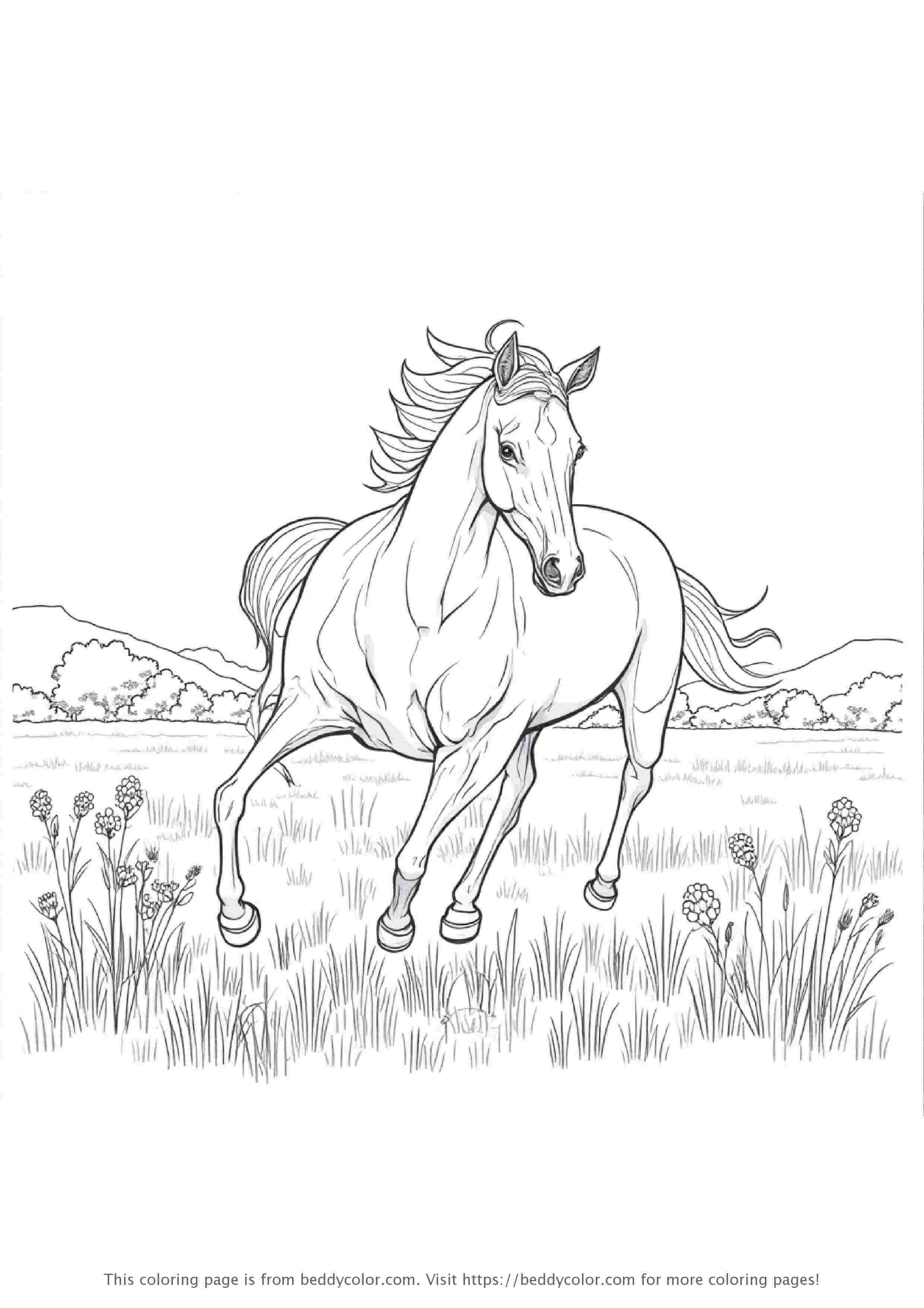 Horse Running in Field