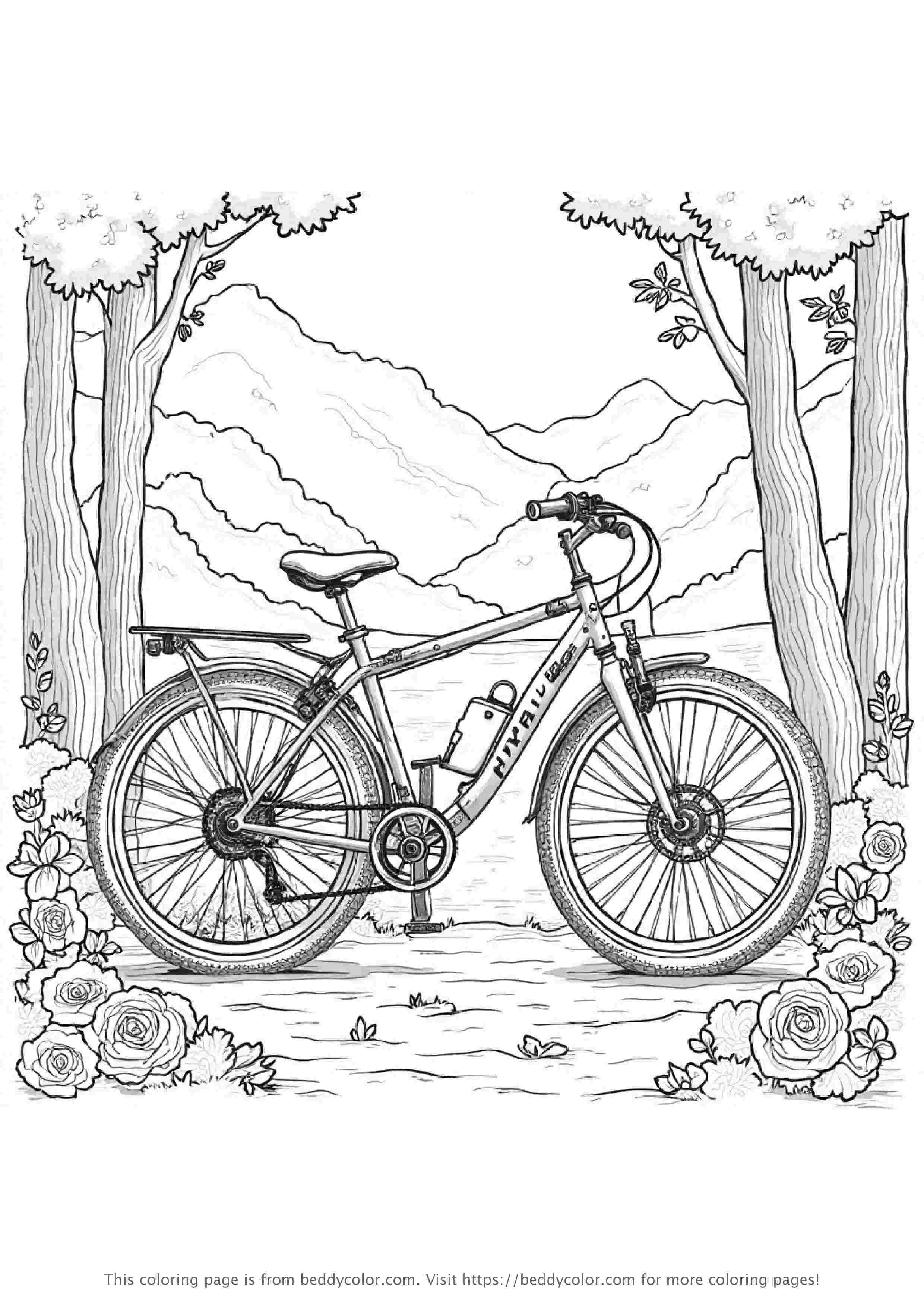 森林小径上的公路自行车
