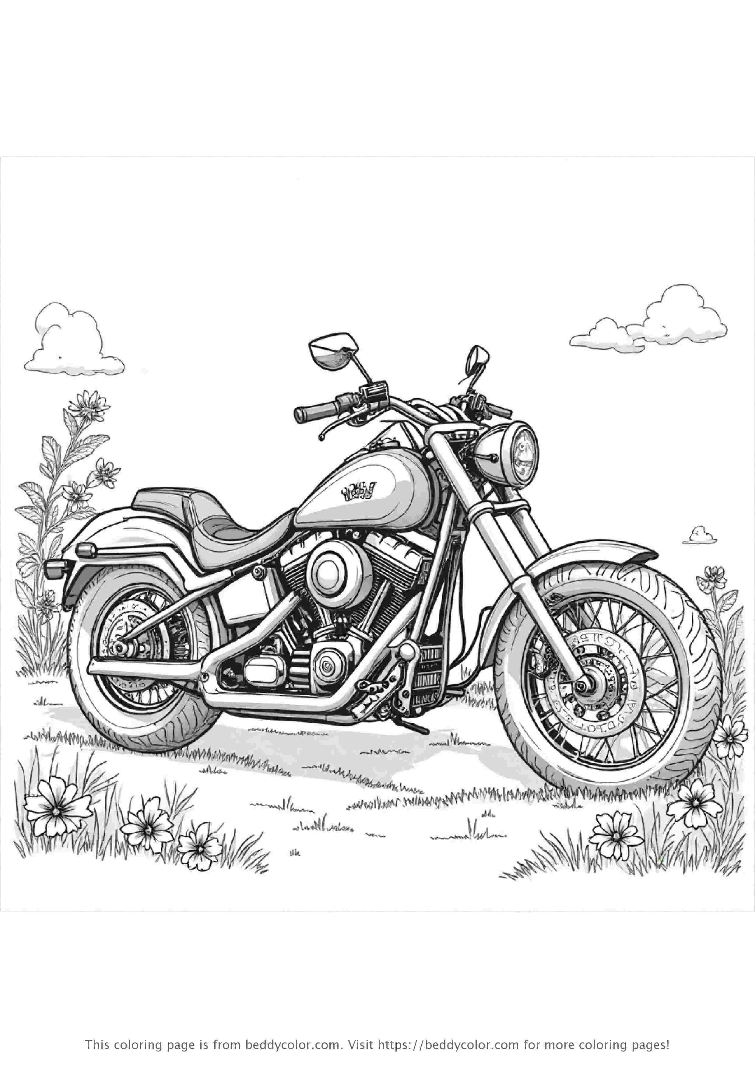 Custom Painted Chopper