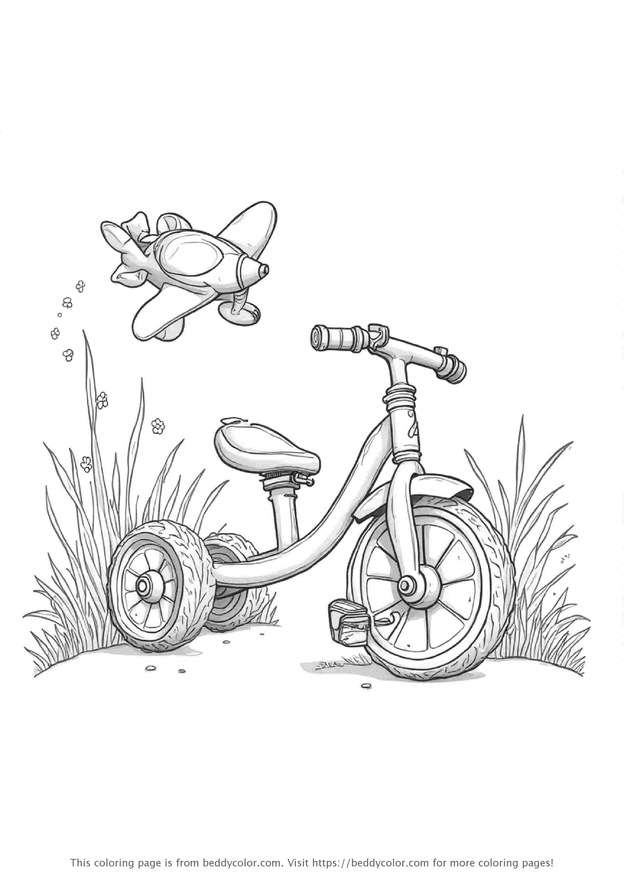 Tricycle and Toy Airplane