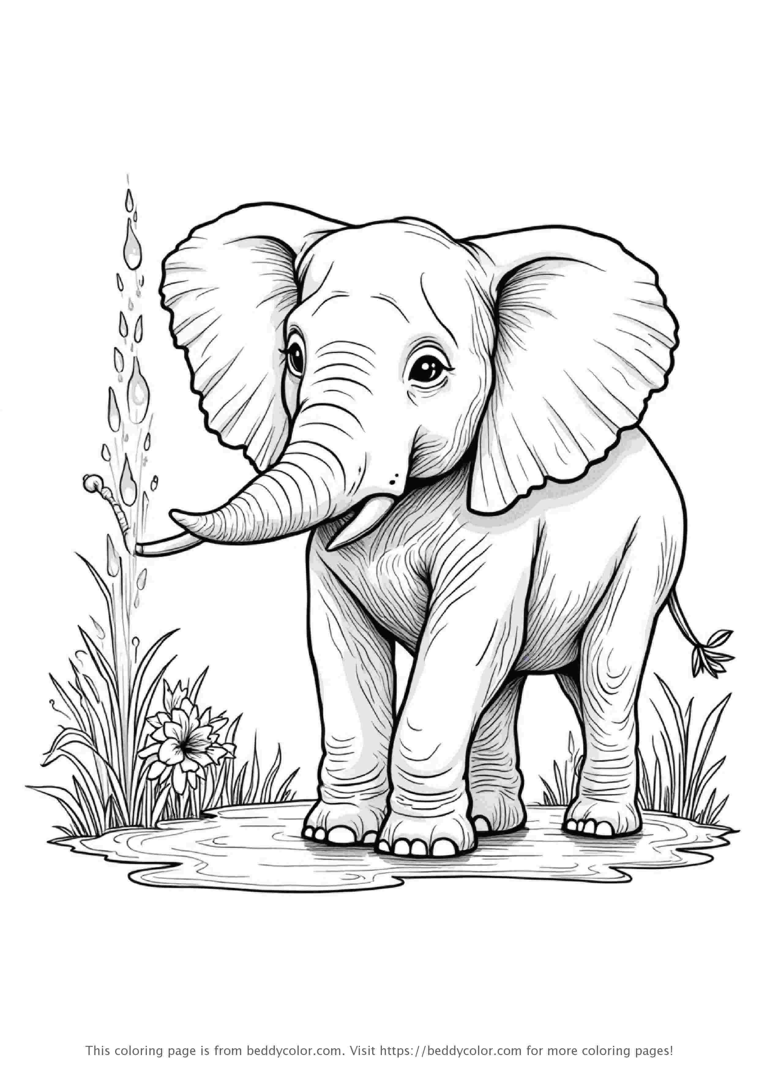 Elephant Spraying Water