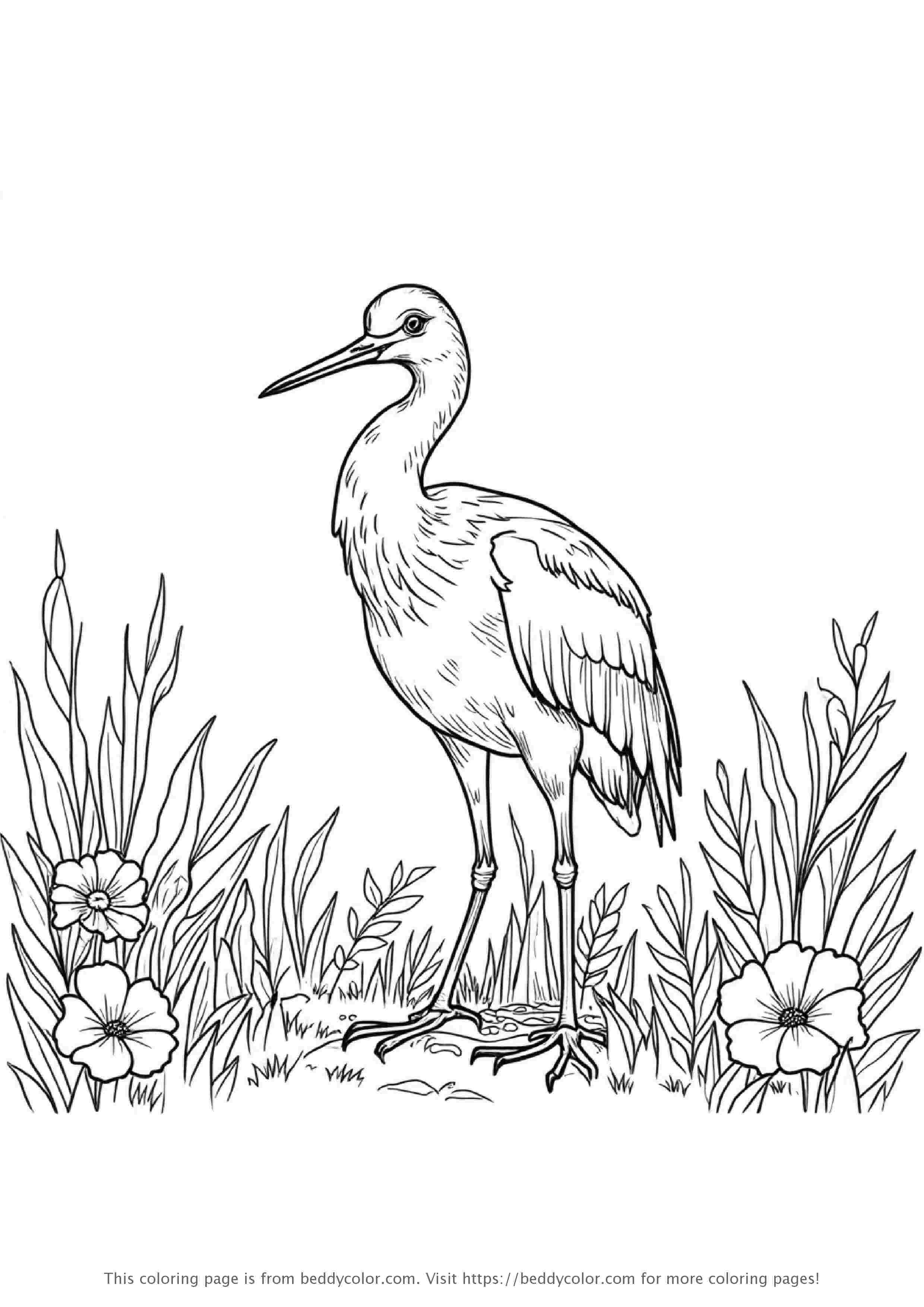 Front View of a Crane