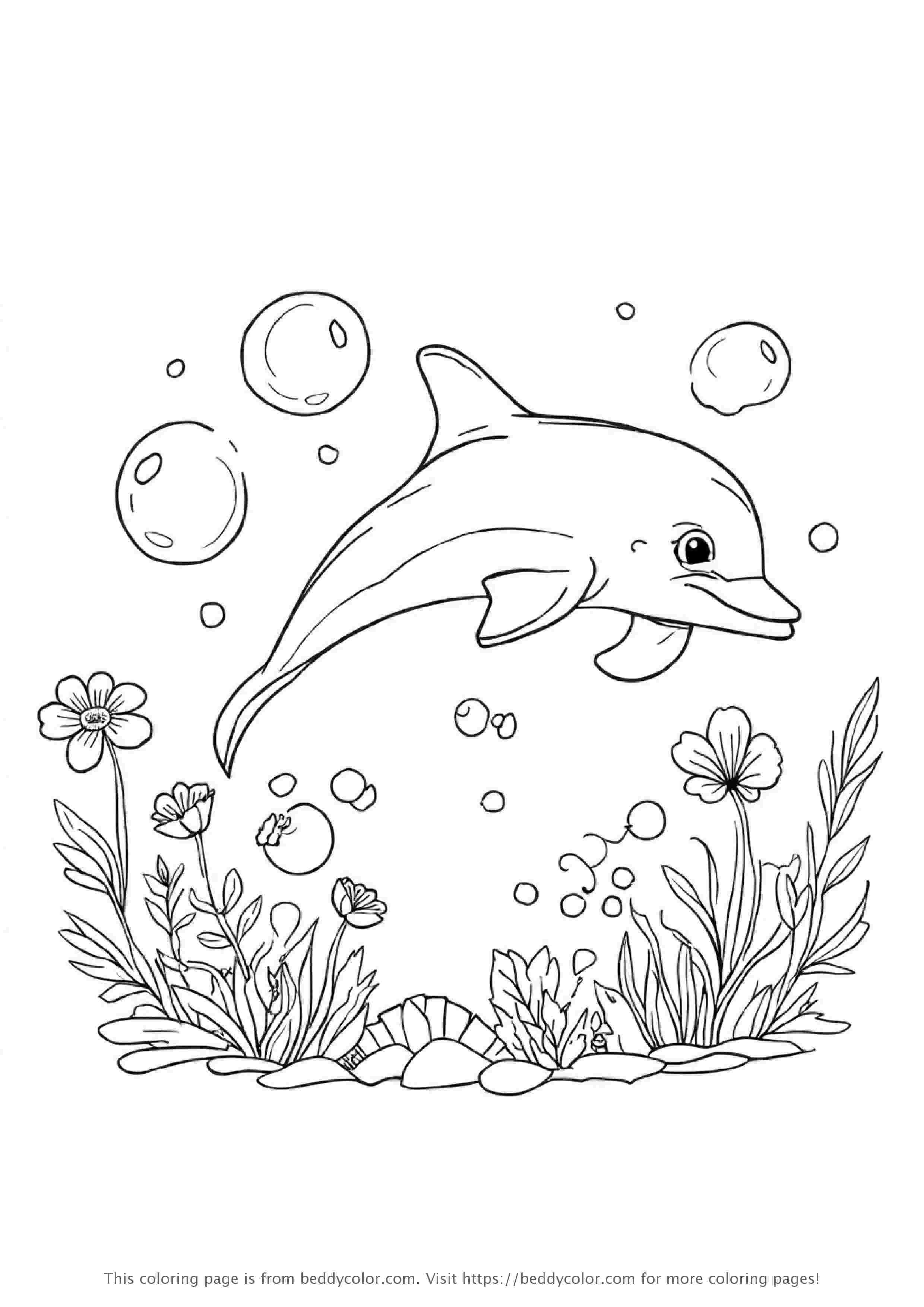Dolphin Swimming with Bubbles