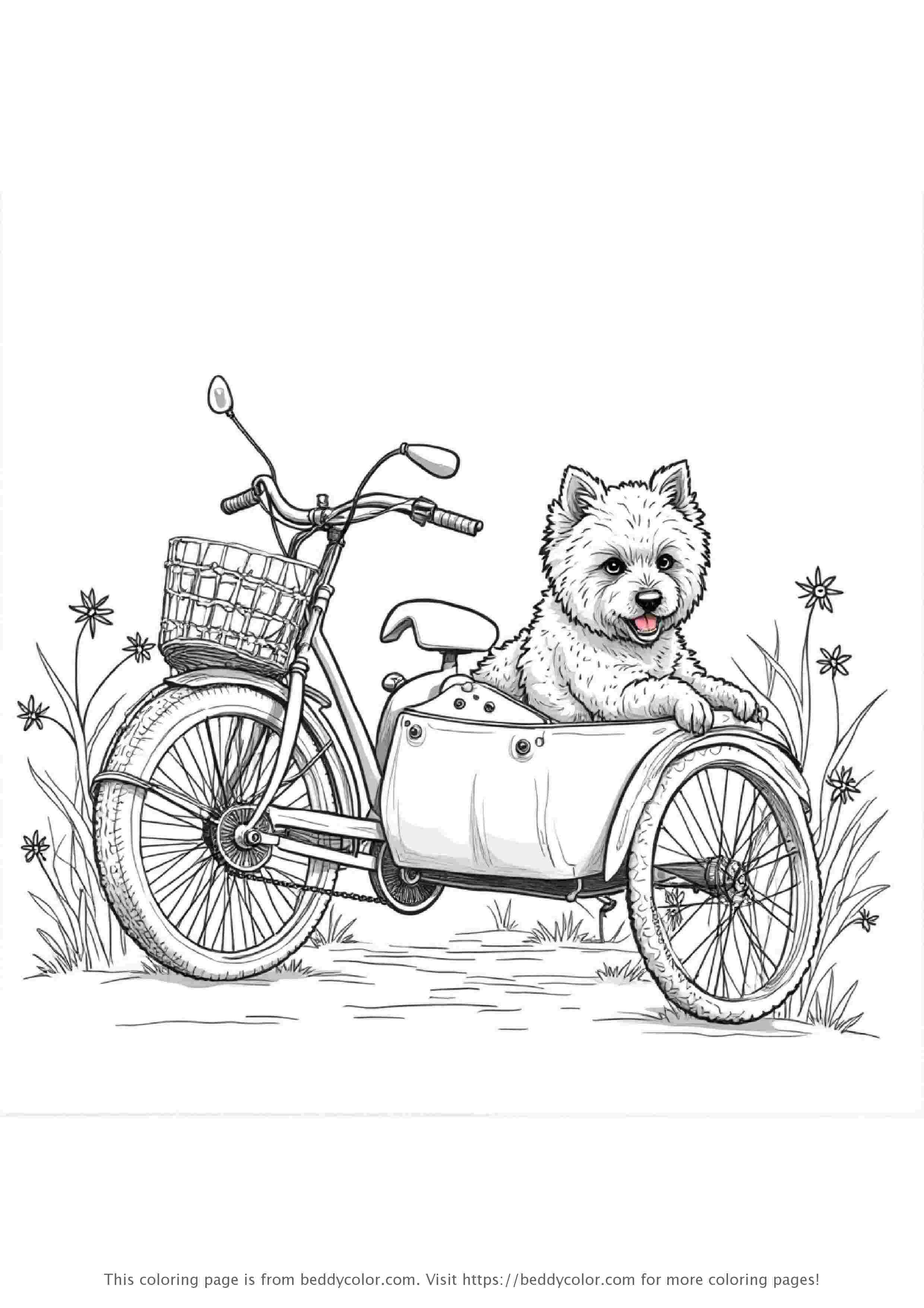 带狗边车的公路自行车