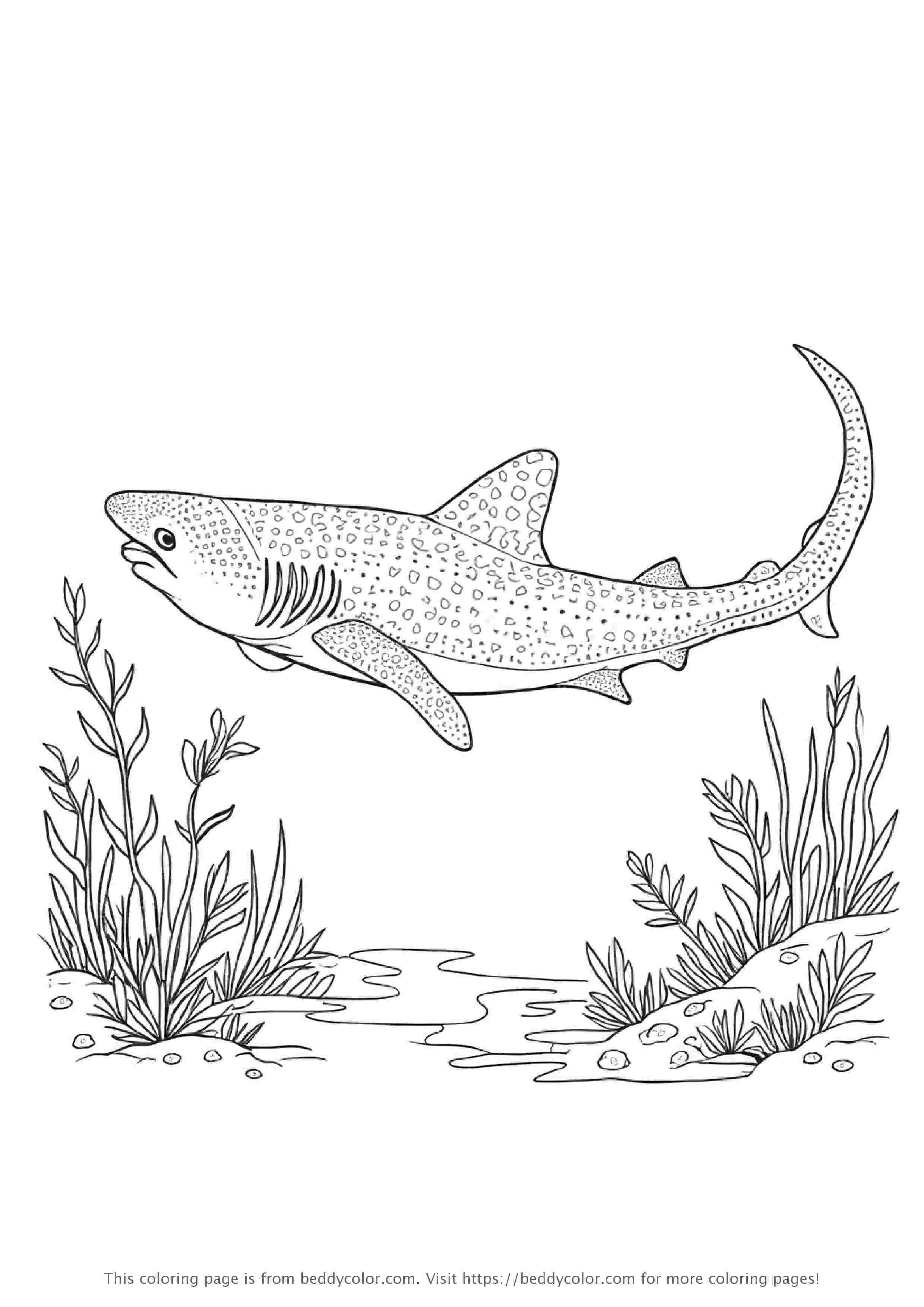 Whale Shark Gliding Through Ocean