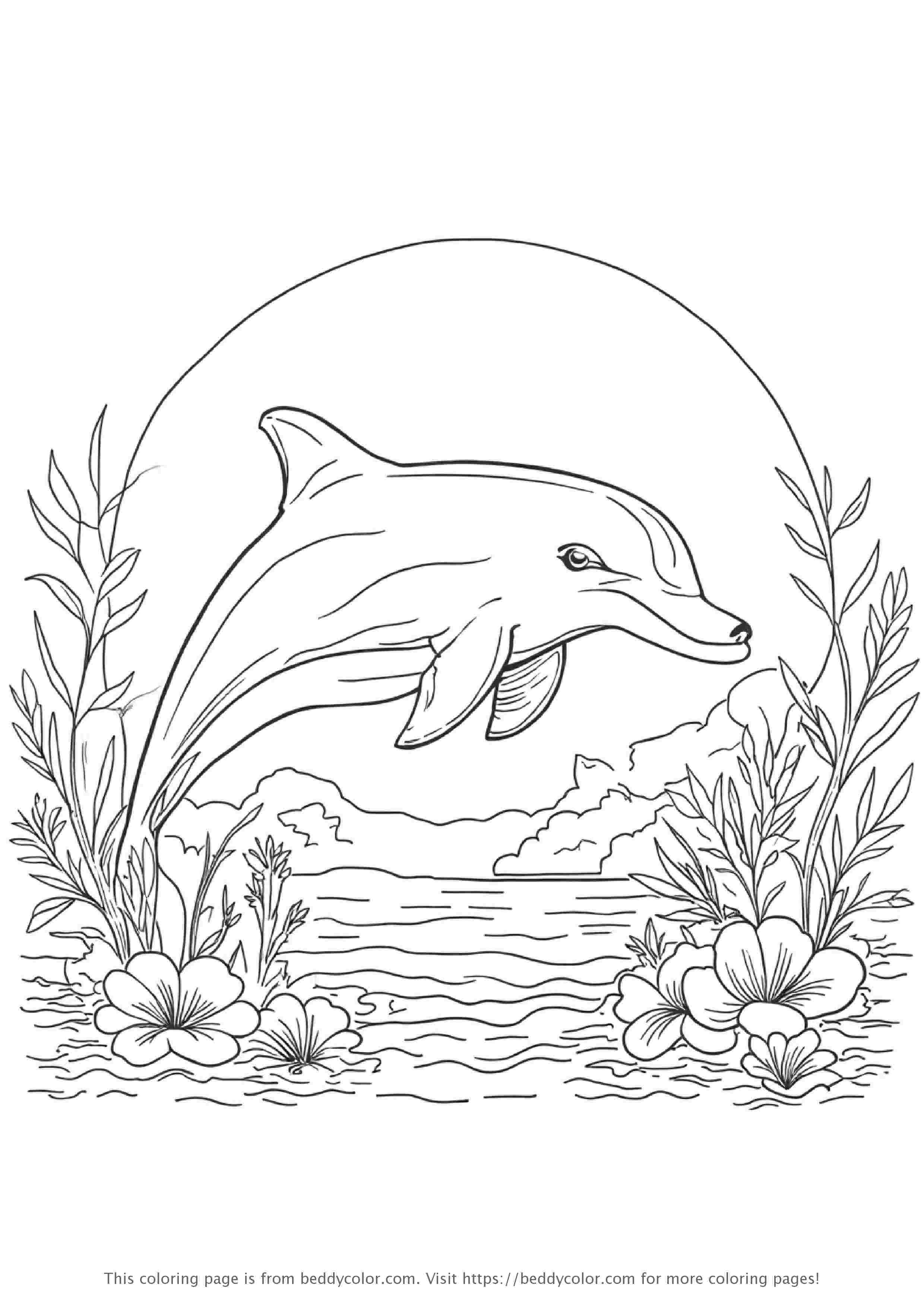 Dolphin Swimming in Ocean